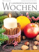 Ausgabe 47/2022 Ausgabe 47/2022