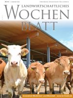 Ausgabe 48/2022 Ausgabe 48/2022