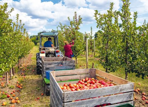 Tarifverhandlungen laufen, Formalien fordern Arbeitgeber