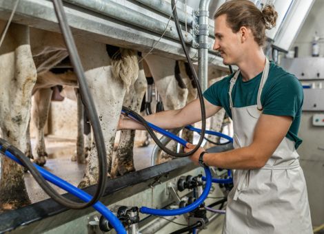 MLP-Daten sind Grundlage für das Herdenmanagement