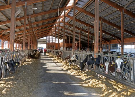 Viele Erkenntnisse aus der Milchleistungsprüfung