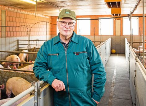 Bauernverband sieht Standort für Tierhaltung in Gefahr