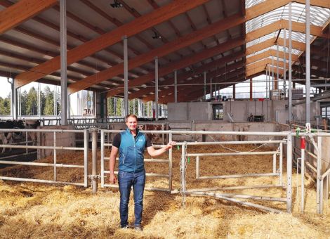 Innovativer Milchviehstall für 150 Kühe