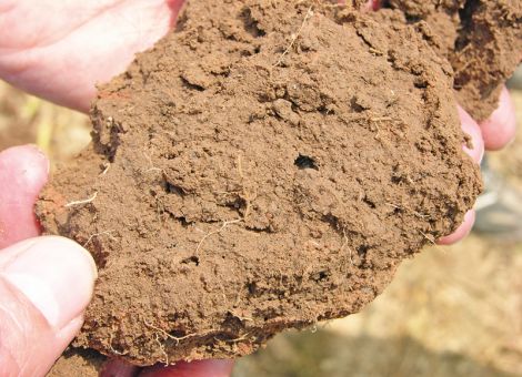 Stellschrauben für stabile Erträge im Ackerbau