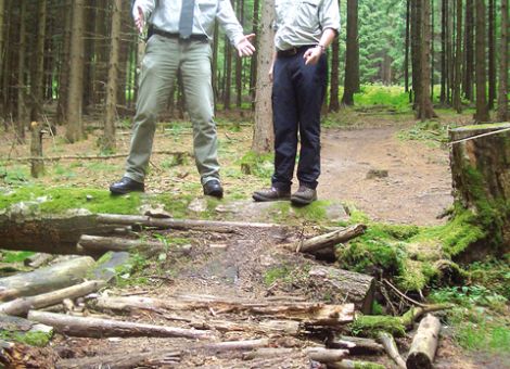 Verkehrssicherungspflicht: wie weit geht sie im Wald?