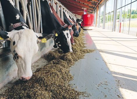 Energie und Arbeitszeit sparen in Milchviehbetrieben