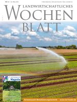 Ausgabe 13/2023, © imago/Jochen Tack Ausgabe 13/2023