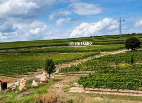 Regionale Lösungen werden Menschen und Natur gerecht 