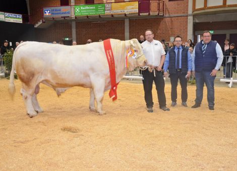 Starker Fleischrindertag in der Alsfelder Hessenhalle