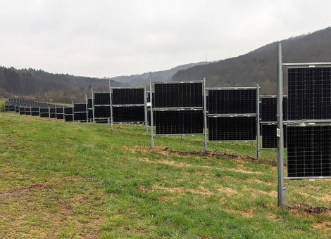 Freiflächenphotovoltaik und Rückkehr von Wolf und Biber