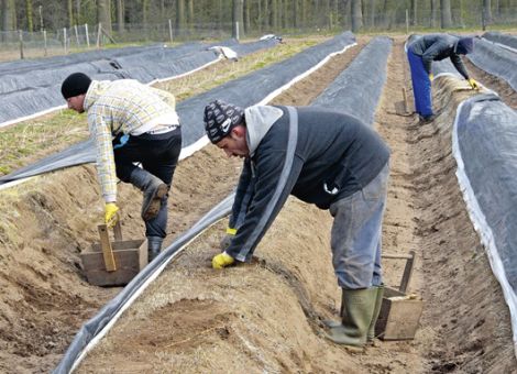 Kritik an Äußerungen Heils über Anhebung des Mindestlohns