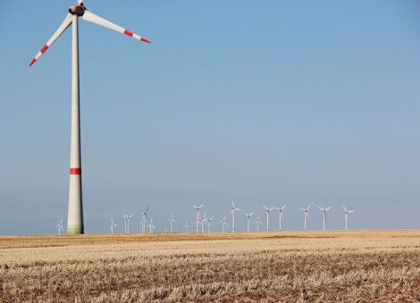 Wind-an-Land-Gesetz – wie sieht die Umsetzung aus?