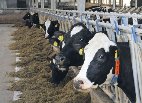 Emissionen senken und Wirtschaftlichkeit verbessern