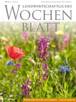 Ausgabe 20/2023, © Adobe Stock/Christian Schwier Ausgabe 20/2023