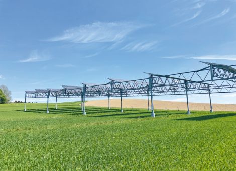 Agri-PV schützt bestimmte Pflanzen vor Dürre