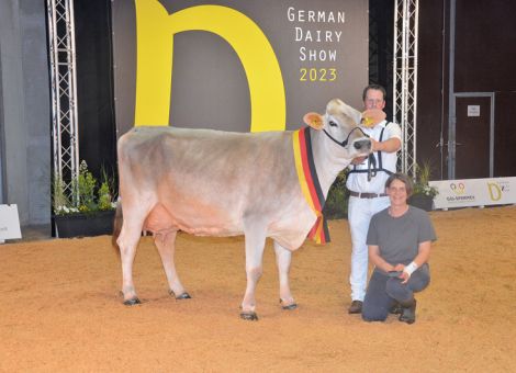 Fee wird Grand Champion bei Brown Swiss
