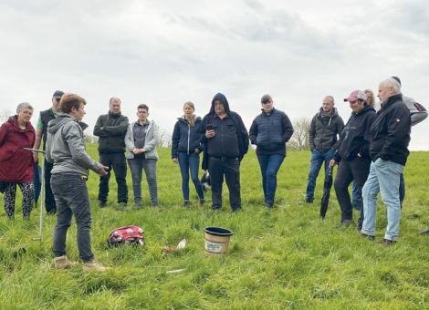 Pflanzenbestand bestimmen und positiv beeinflussen