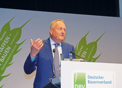 Verbandspolitik ist jeden Tag ein Balanceakt