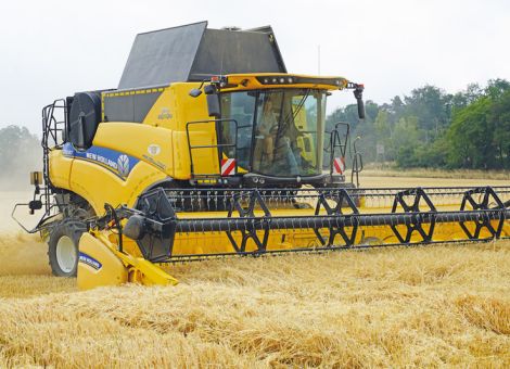 DBV rechnet mit nur 40,9 Mio. Tonnen Getreide