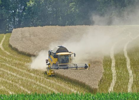 Ertragreiche Sorten-Typen setzen Dünger in Leistung um