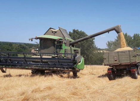 Gemeinsam geht“s leichter – auch in der Ernte