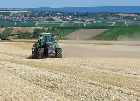Umgang mit künftigen Wetterextremen im Ackerbau