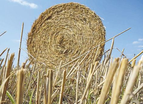 Stroh verkaufen, tauschen oder behalten?