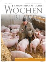 Ausgabe 31/2023