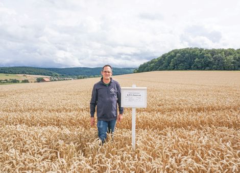 Immer weniger kleine Erzeuger