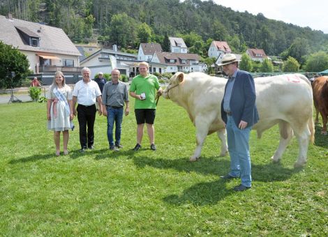 Beachtliches Kontingent an Fleischrindern 