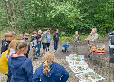 Abenteuer (im) Wald