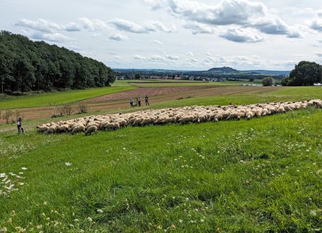 Steffen Schierholz siegt beim Landesleistungshüten