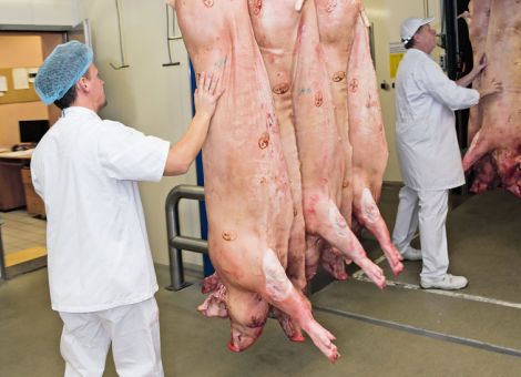 Schlachtschweine: Preiskorrektur in der EU 