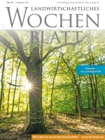 Ausgabe 36/2023
