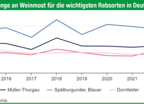 Knapp 9,9 Mio. hl Weinmost des Jahrgangs 2023 erwartet