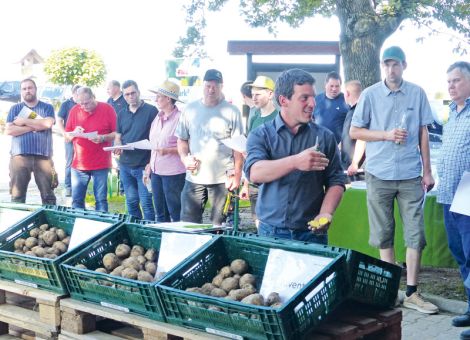 Wetterauer Kartoffeltag auf dem Laupushof