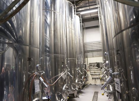 Weinbranche kämpft mit Absatzrückgang