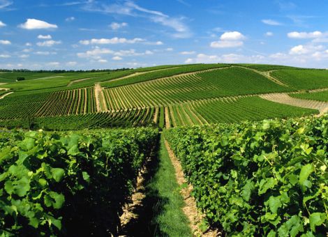 Preisträger Best Of Wine Tourism-Awards 2024