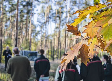 Bundeswald setzt auf zukunftsfähige Mischung