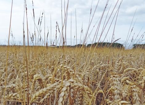 Manchmal muss man zu „Plan B“ übergehen