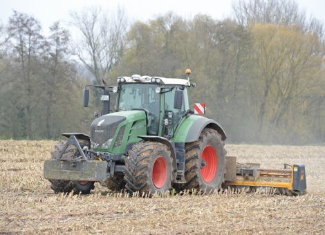 Auf etlichen Flächen ist Starkbefall festzustellen