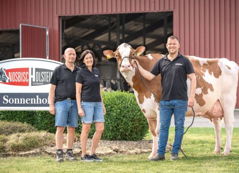 Nosbisch Holstein Herdenverkauf und 10. German Masters Sale