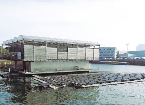Schwimmender Kuhstall im Hafen von Rotterdam