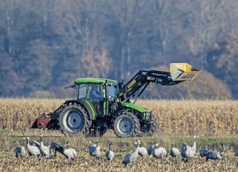 Trilog erzielt Einigung zum Naturwiederherstellungsgesetz