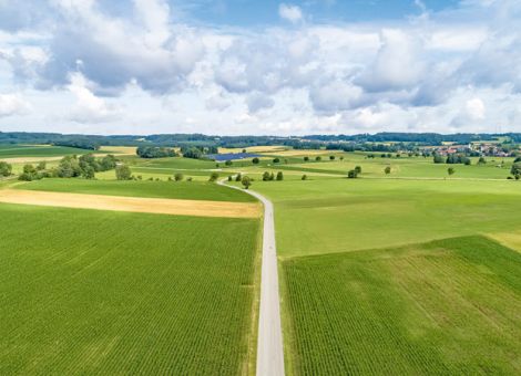 Bauernverband verabschiedet sich von den Direktzahlungen