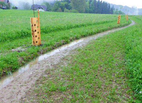 Regenwasser verlangsamen, infiltrieren und speichern