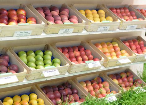 Obstbauversuchsstandort neu ausgerichtet