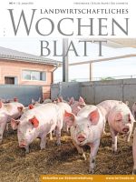 Ausgabe 4/2024