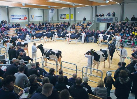 Premiereschau der Züchtervereinigungen 