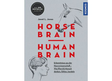 Horse Brain - Human Brain